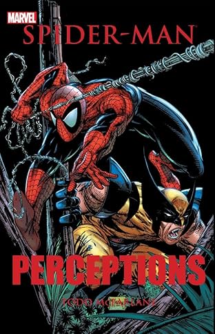 Spider-Man: Perceptions
