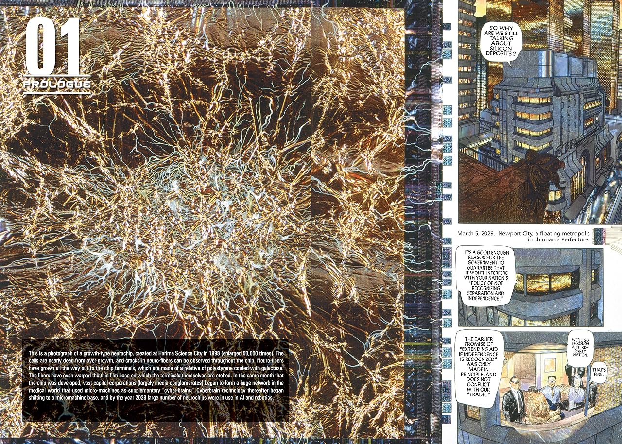 The Ghost in the Shell Vol. 1