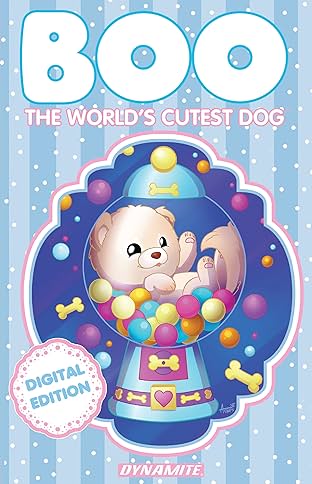 Boo, The World's Cutest Dog: A Walk In The Park