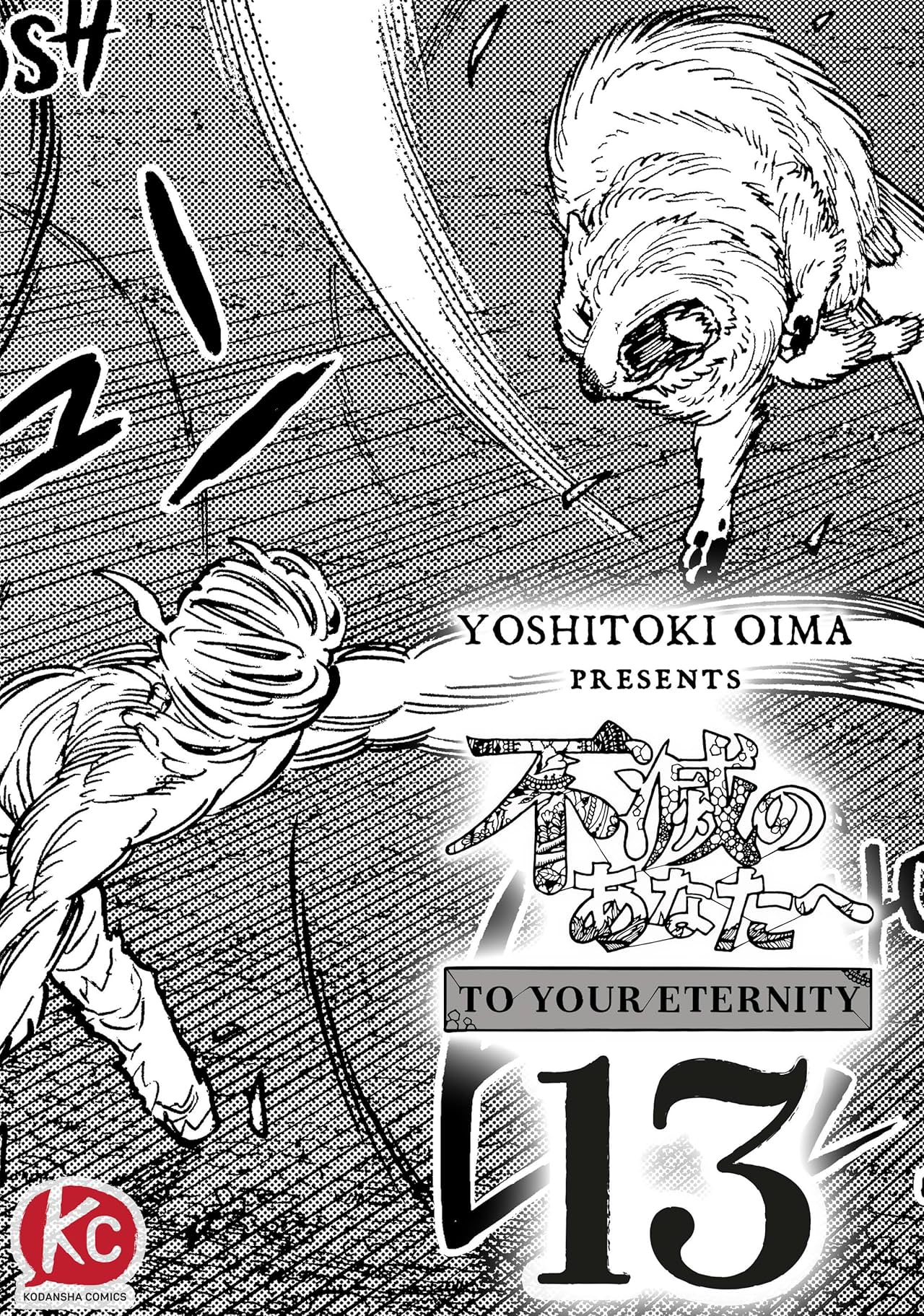 To Your Eternity #13