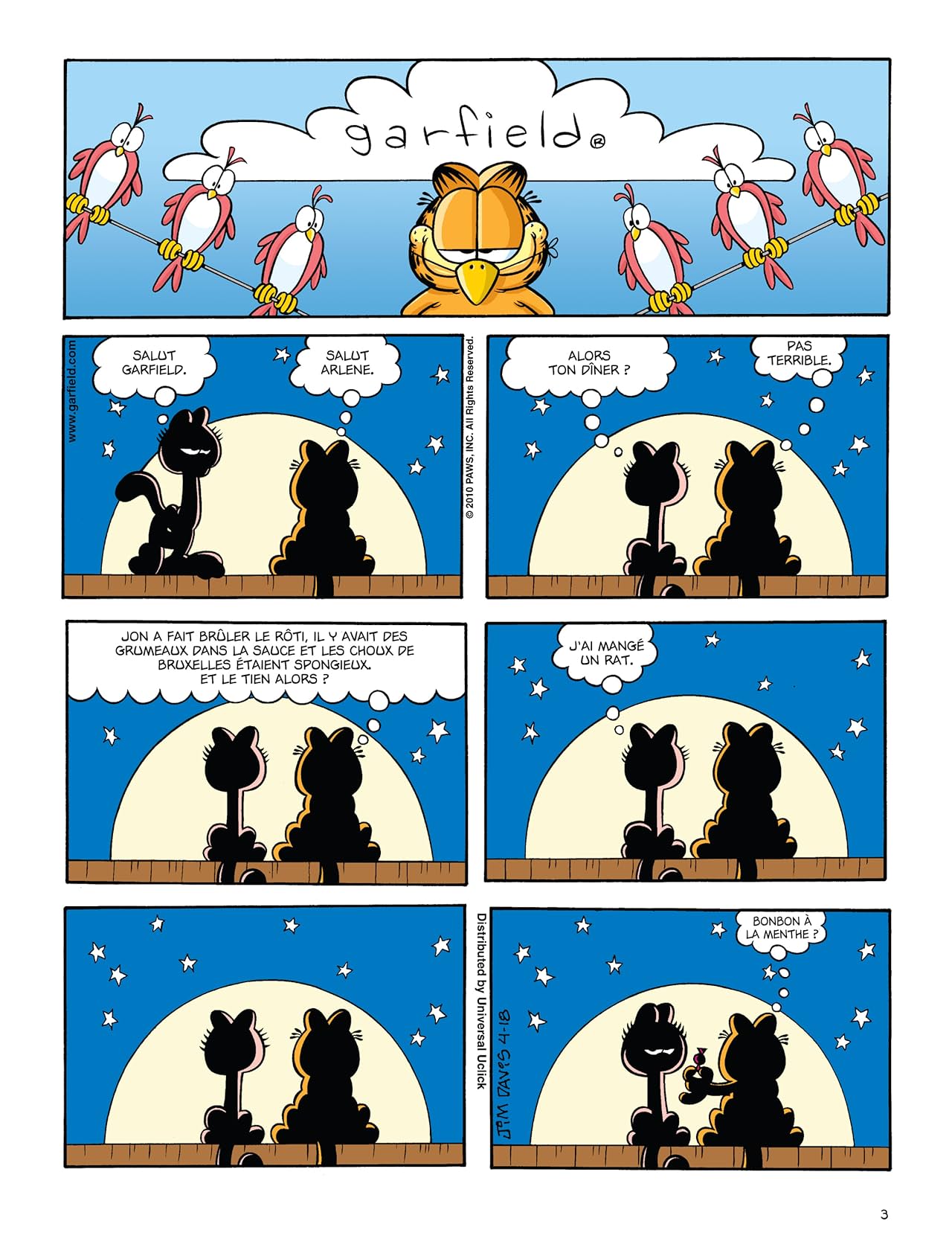 Garfield Vol. 58: Félin pour l'autre