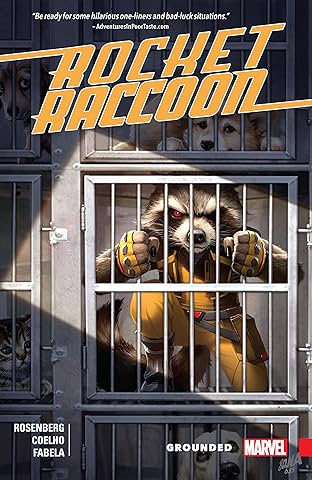 Rocket Raccoon: Grounded