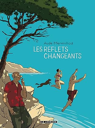 Les reflets changeants