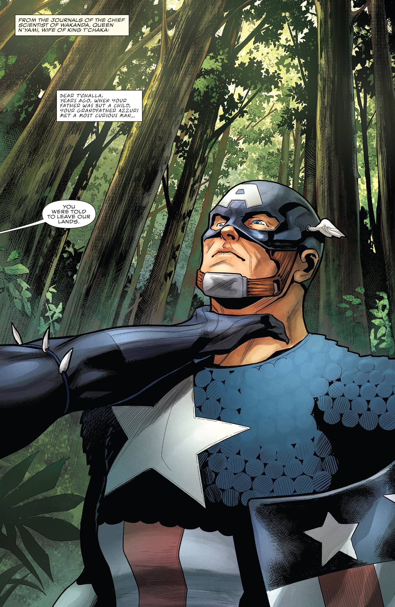 Rise of the Black Panther (2018) #1 (of 6)