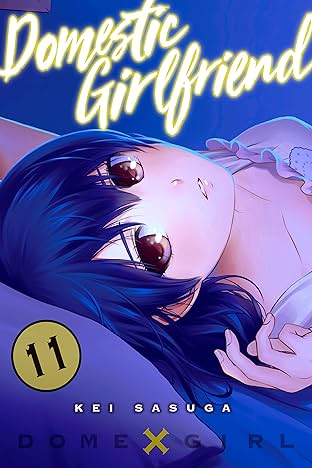 Domestic Girlfriend Vol. 11