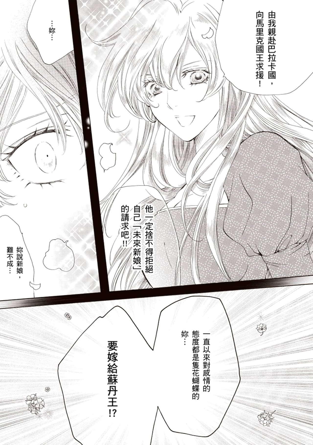 公主的謊言　異國戀曲系列Ⅰ