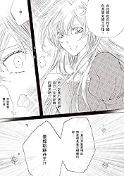 公主的謊言　異國戀曲系列Ⅰ