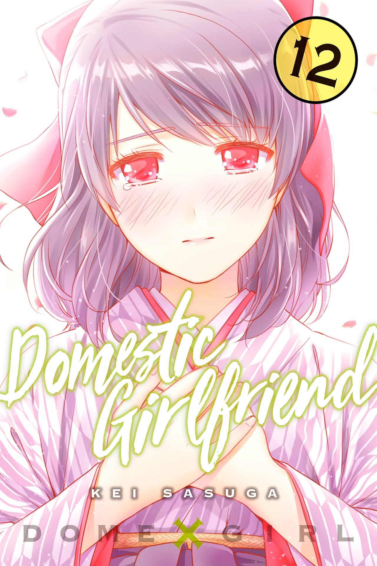 Domestic Girlfriend Vol. 12