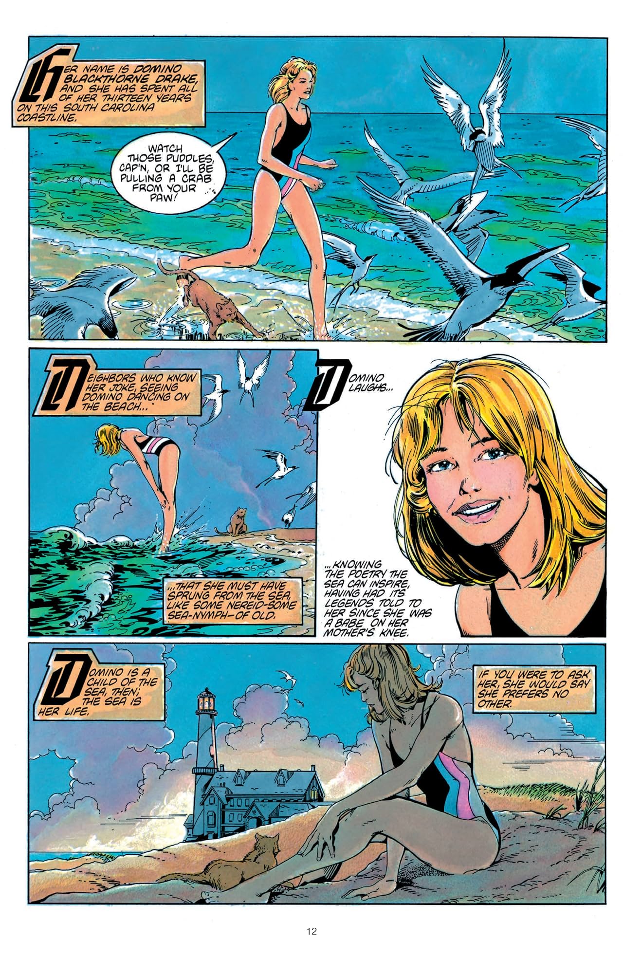 Swords Of The Swashbucklers