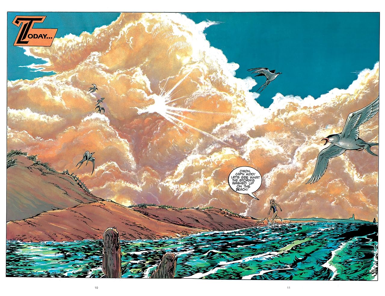 Swords Of The Swashbucklers