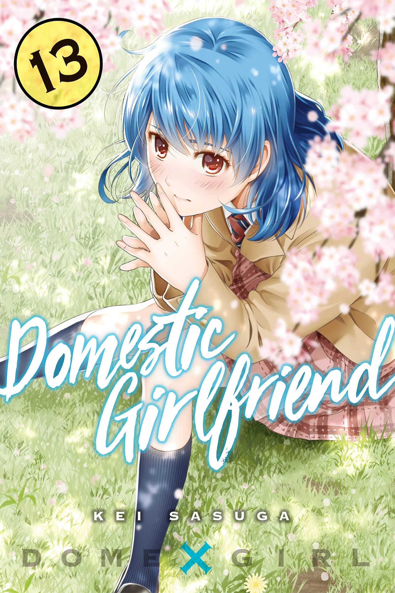 Domestic Girlfriend Vol. 13