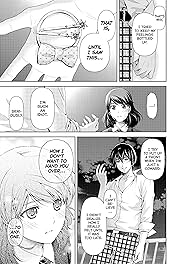 Domestic Girlfriend Vol. 13