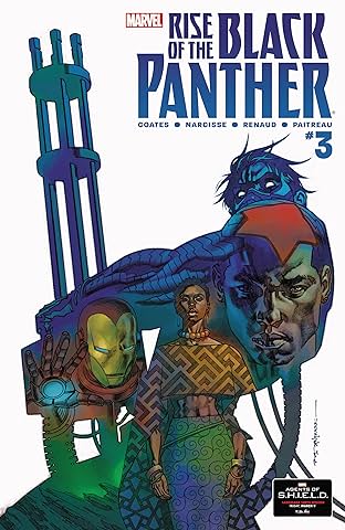 Rise of the Black Panther (2018) #3 (of 6)