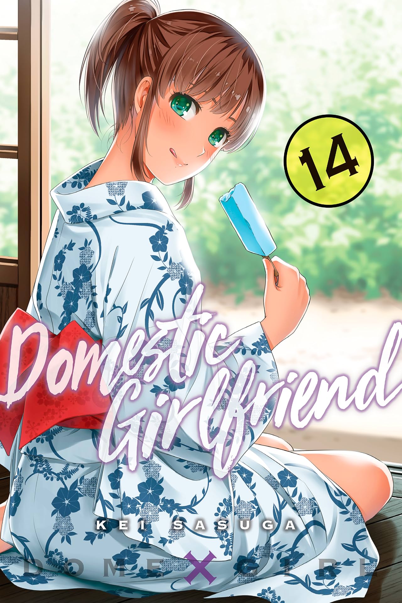 Domestic Girlfriend Vol. 14