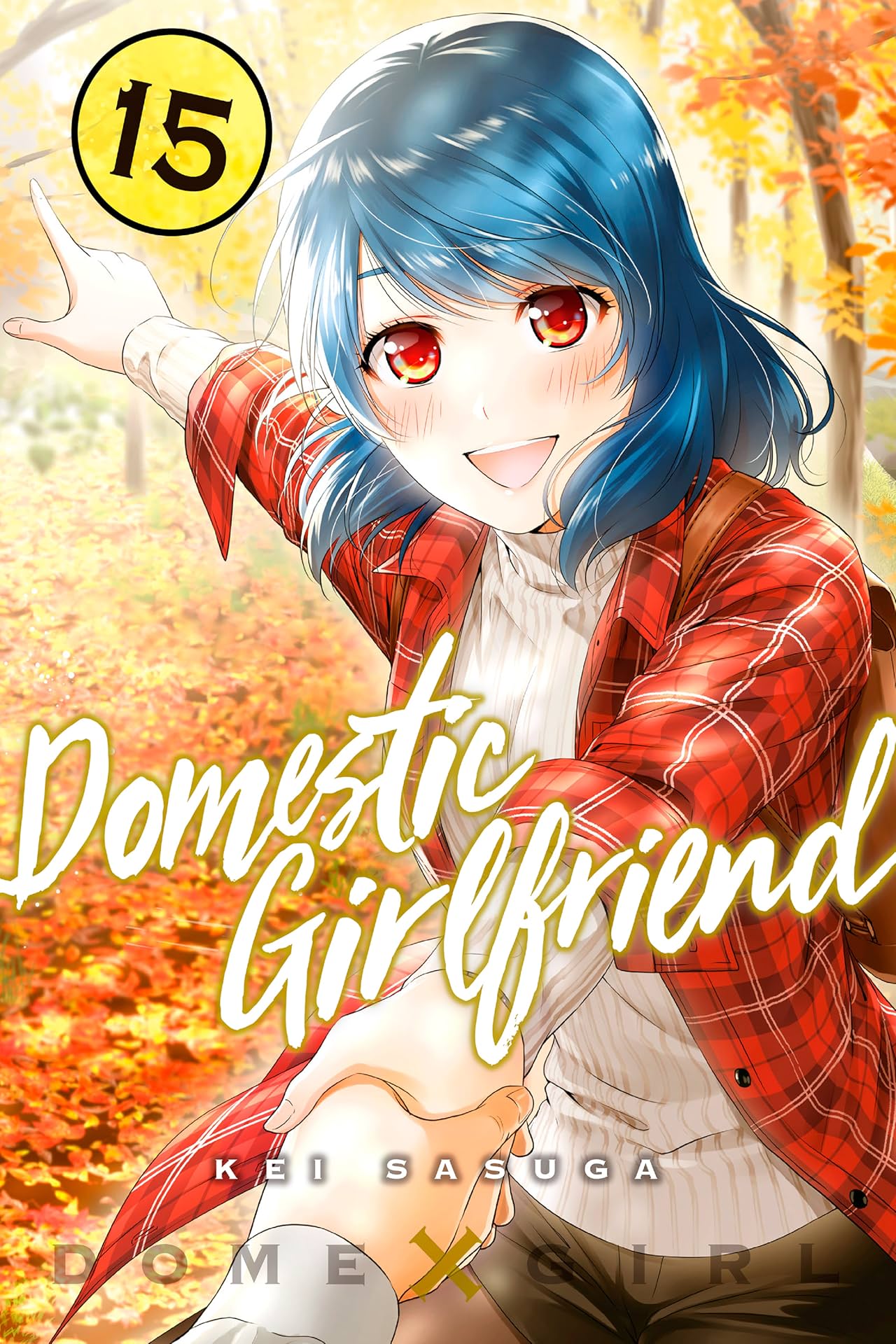 Domestic Girlfriend Vol. 15