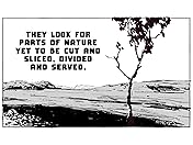 Moth City Preludes #1