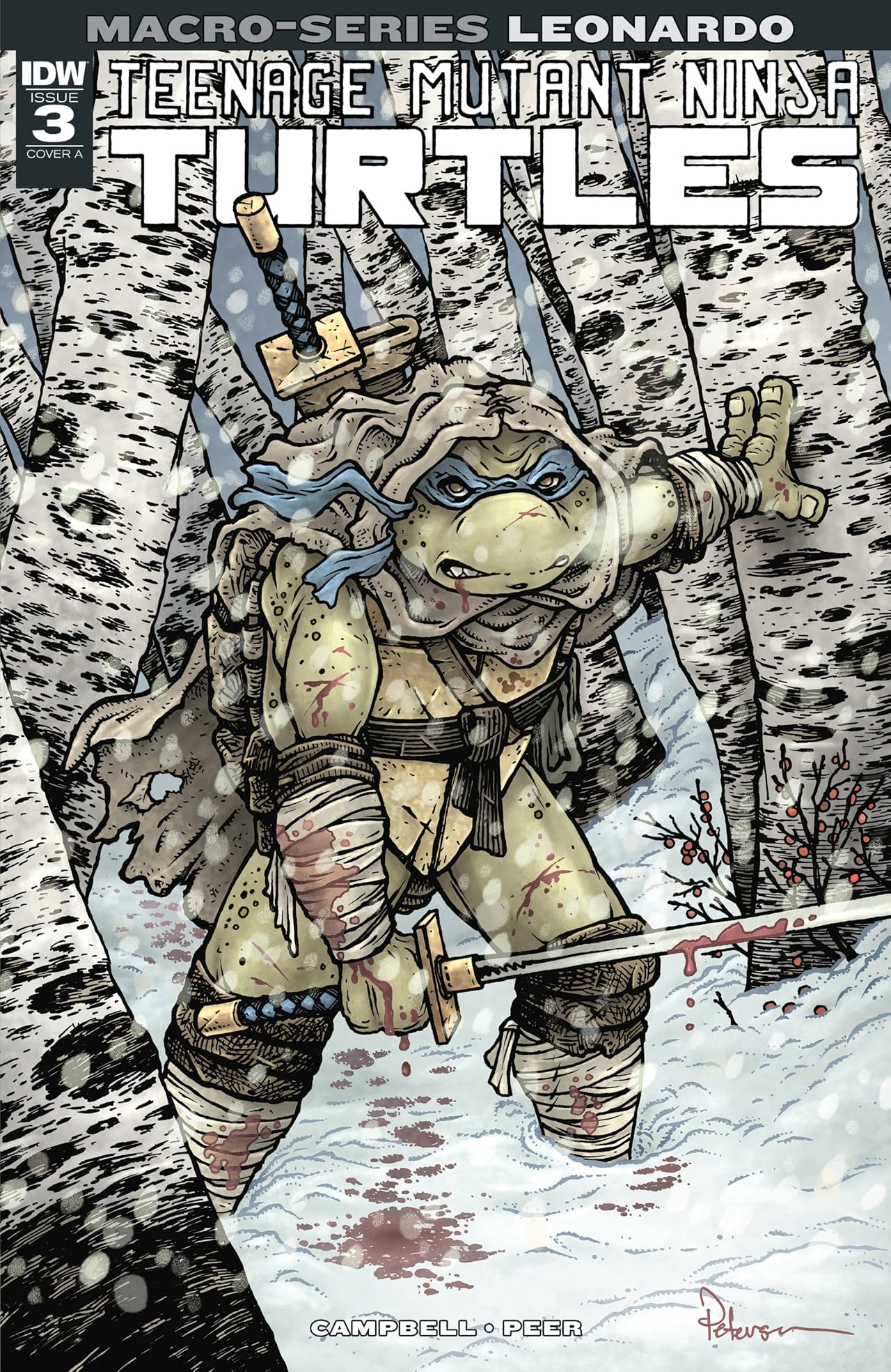 Teenage Mutant Ninja Turtles Macro-Series: Leonardo