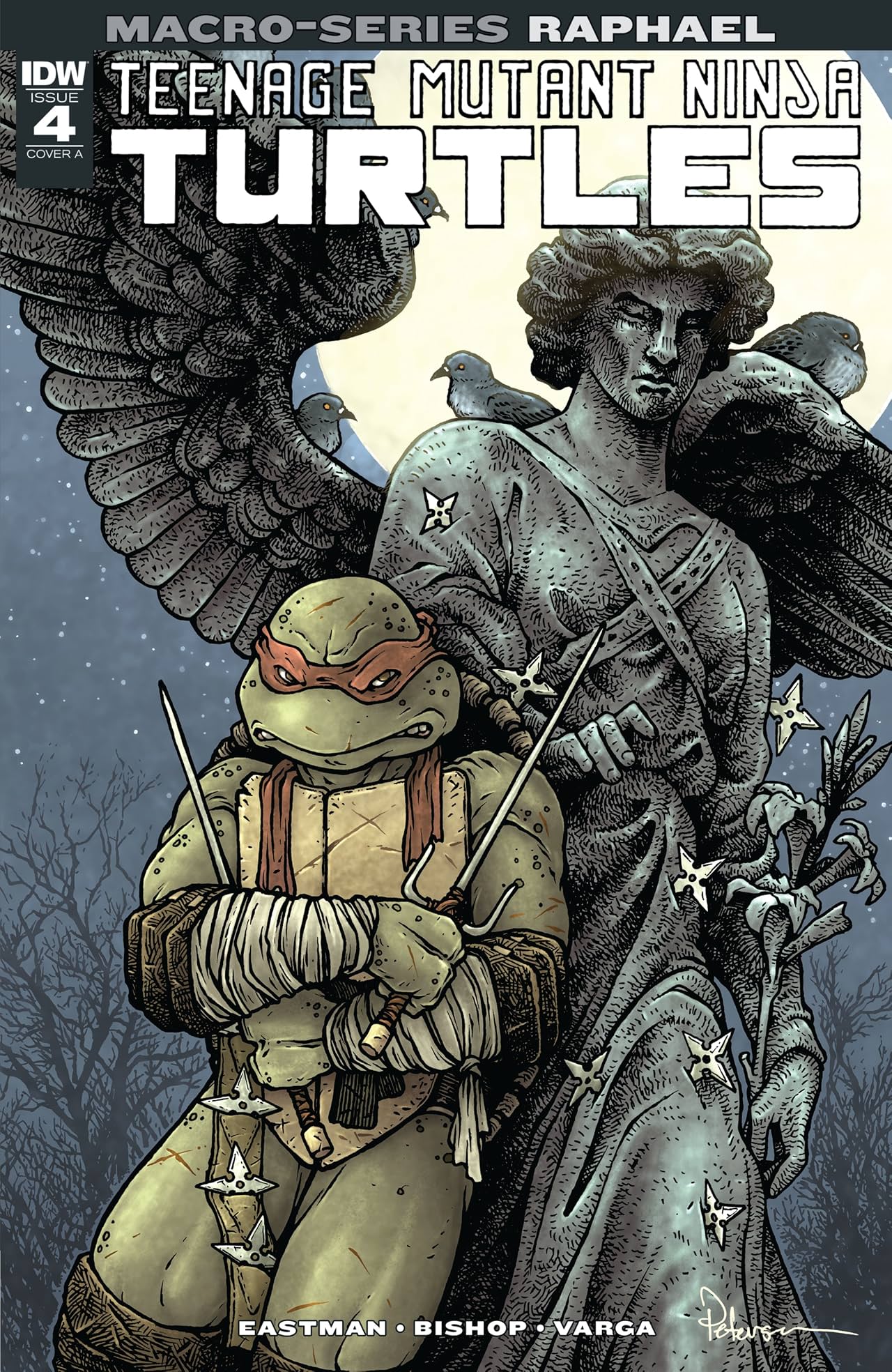 Teenage Mutant Ninja Turtles Macro-Series: Raphael Teenage Mutant Ninja Turtles Macro-Series: Raphael
