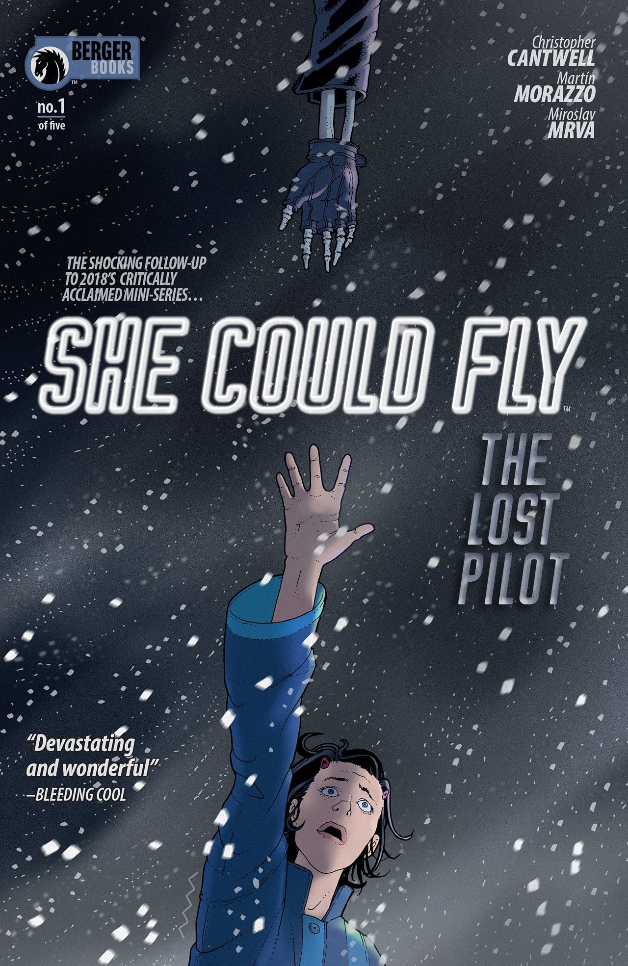 She Could Fly: The Lost Pilot No.1 She Could Fly: The Lost Pilot No.1