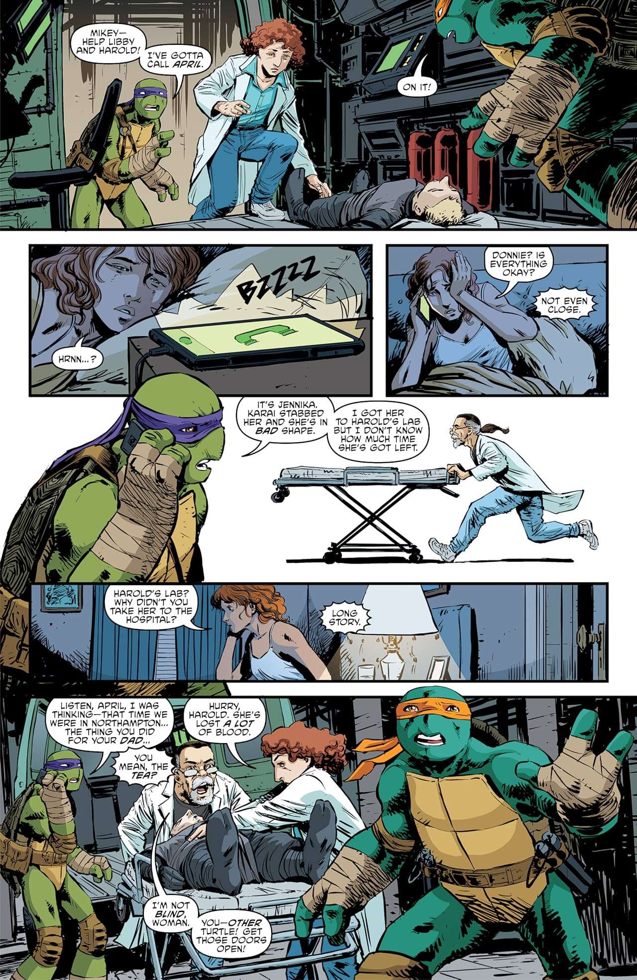 Teenage Mutant Ninja Turtles #94