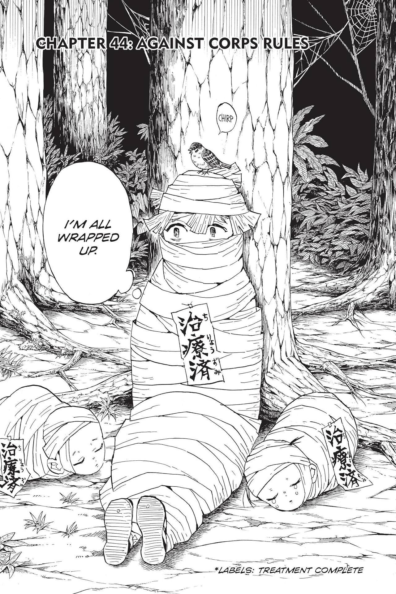 Demon Slayer: Kimetsu no Yaiba Vol. 6: The Demon Slayer Corps Gathers