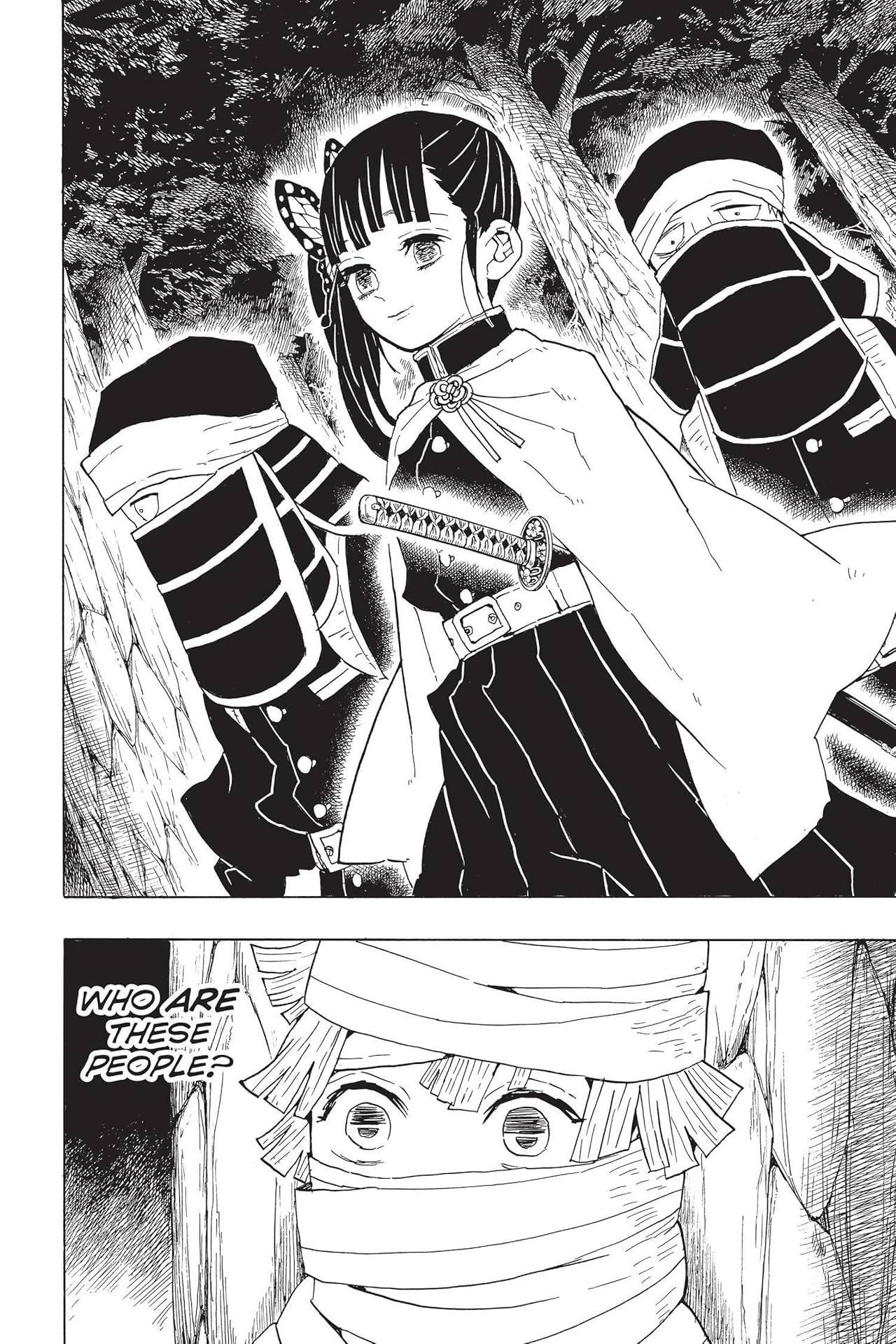 Demon Slayer: Kimetsu no Yaiba Vol. 6: The Demon Slayer Corps Gathers