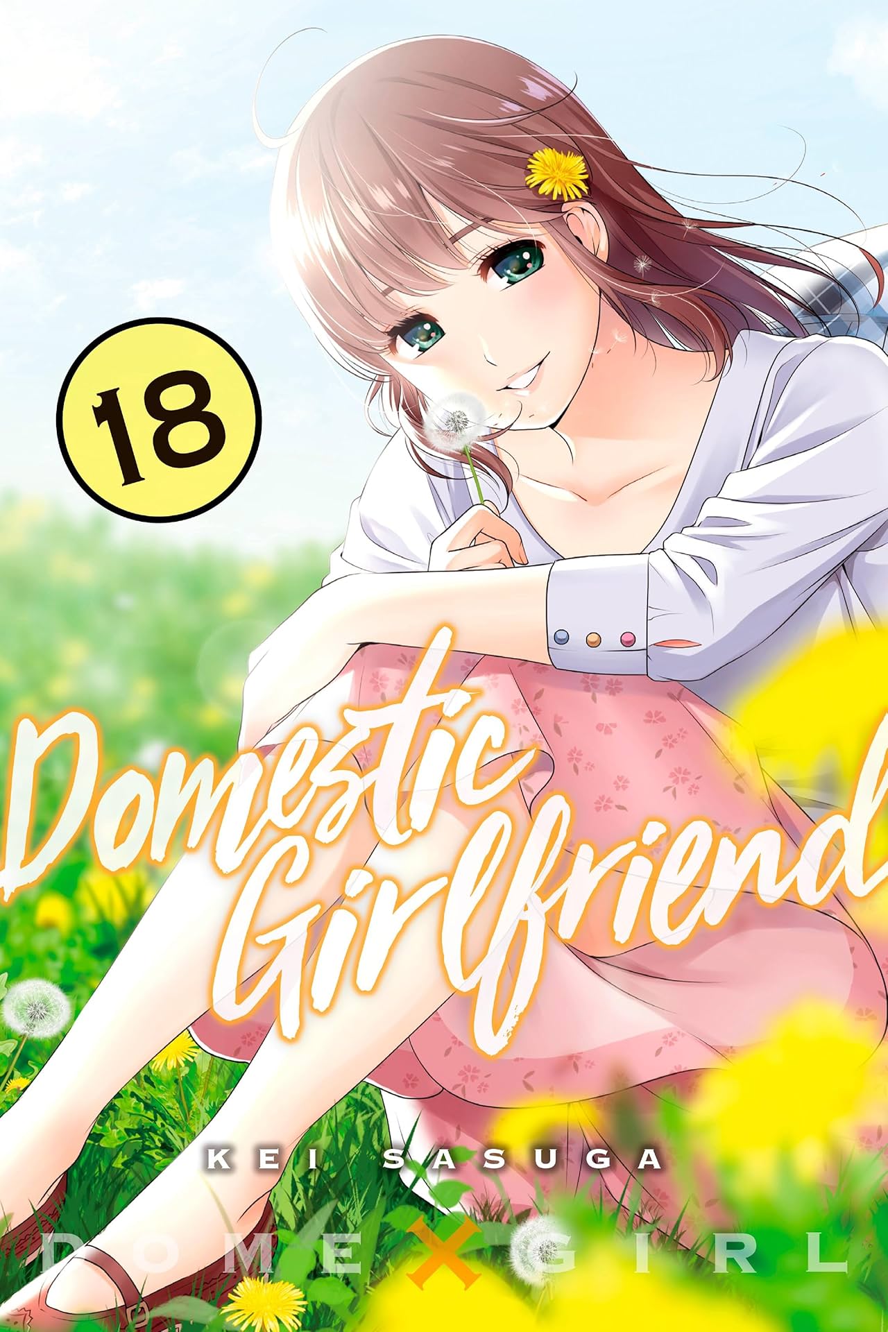 Domestic Girlfriend Vol. 18