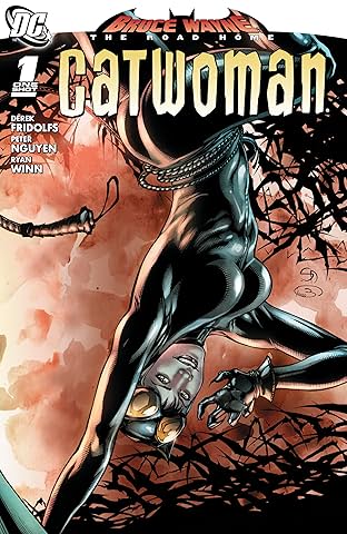 Bruce Wayne: The Road Home: Catwoman (2010) #1