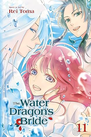 The Water Dragon's Bride Vol. 11