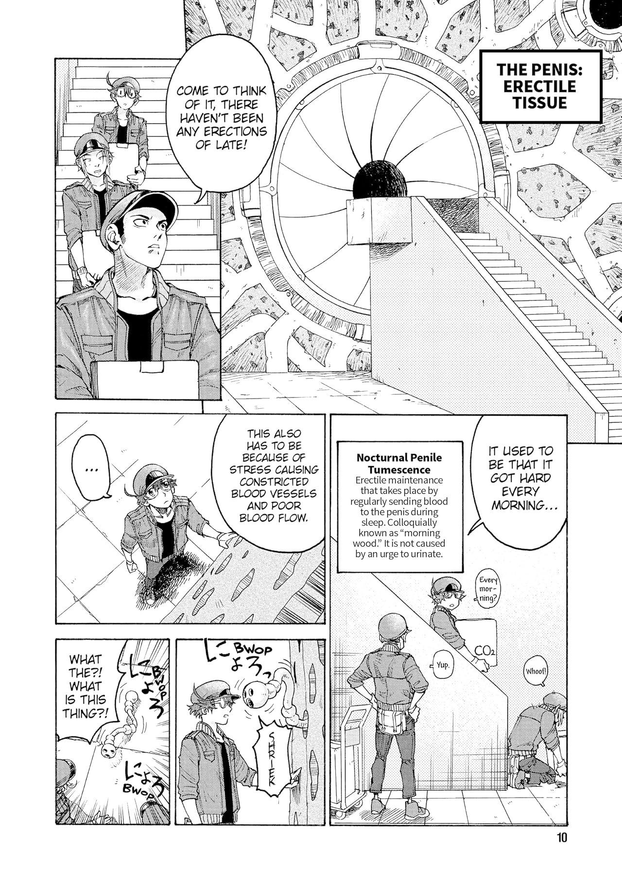 Cells at Work! CODE BLACK Vol. 2