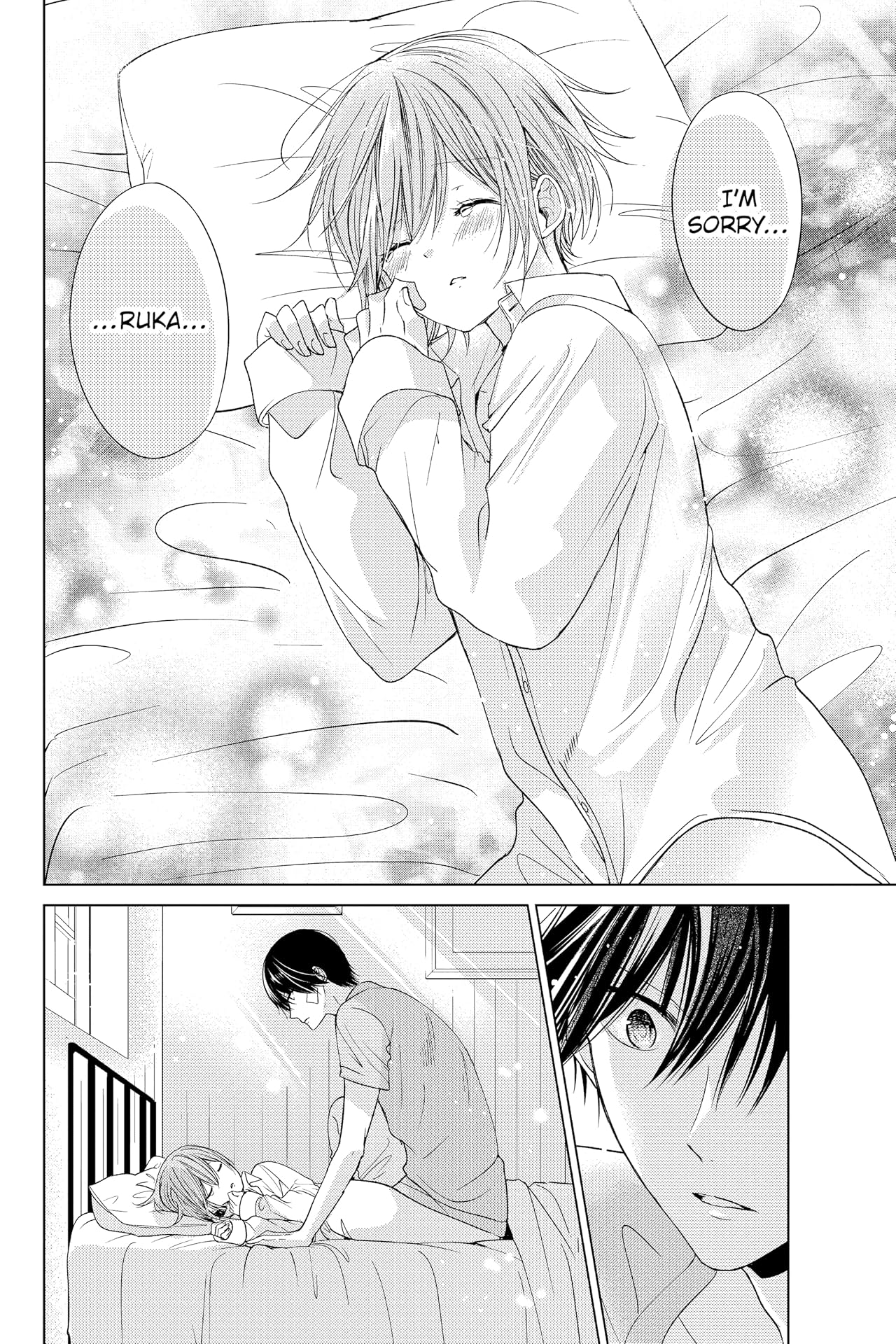 Vampire Dormitory Vol. 3