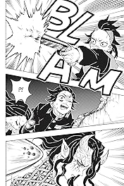 Demon Slayer: Kimetsu no Yaiba Vol. 13: Transitions