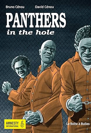 Panthers in the hole: Revenus et financement des agents économiques