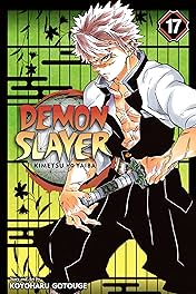 Demon Slayer: Kimetsu no Yaiba Vol. 17: Successors
