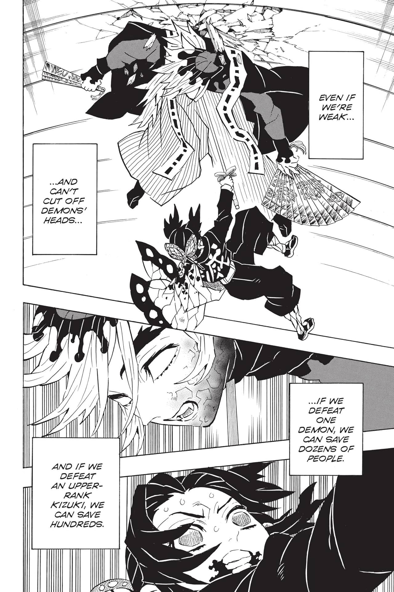 Demon Slayer: Kimetsu no Yaiba Vol. 17: Successors