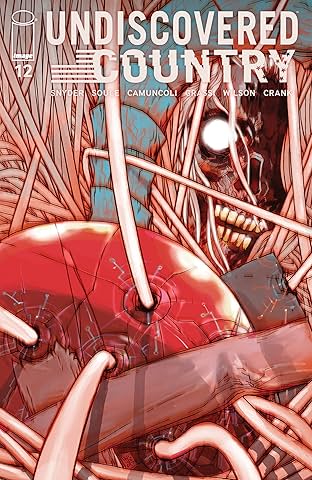 Undiscovered Country #12