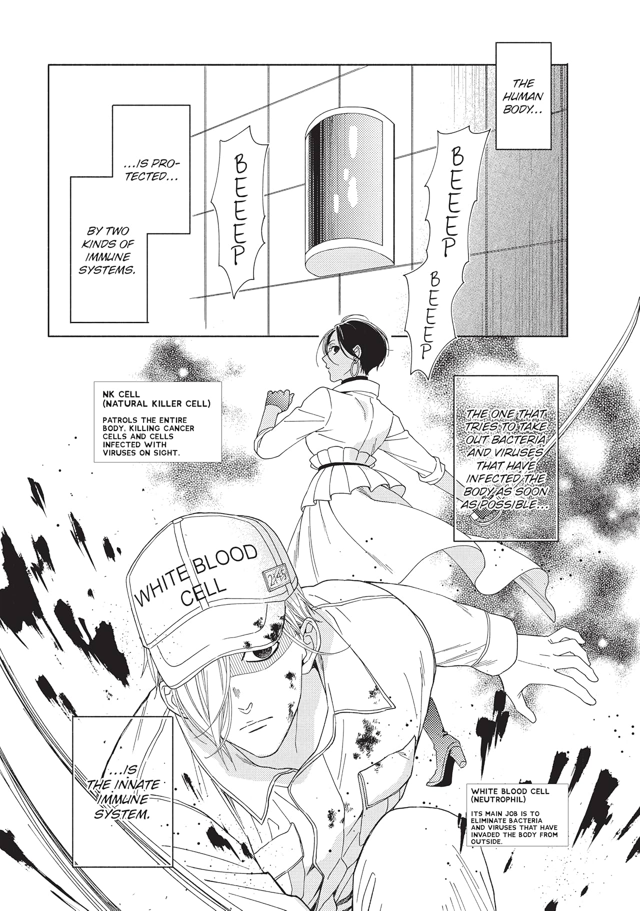 Cells at Work and Friends! Vol. 4