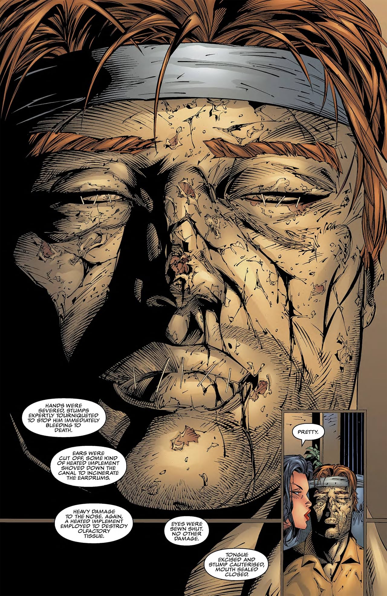 The Complete Witchblade Vol. 2