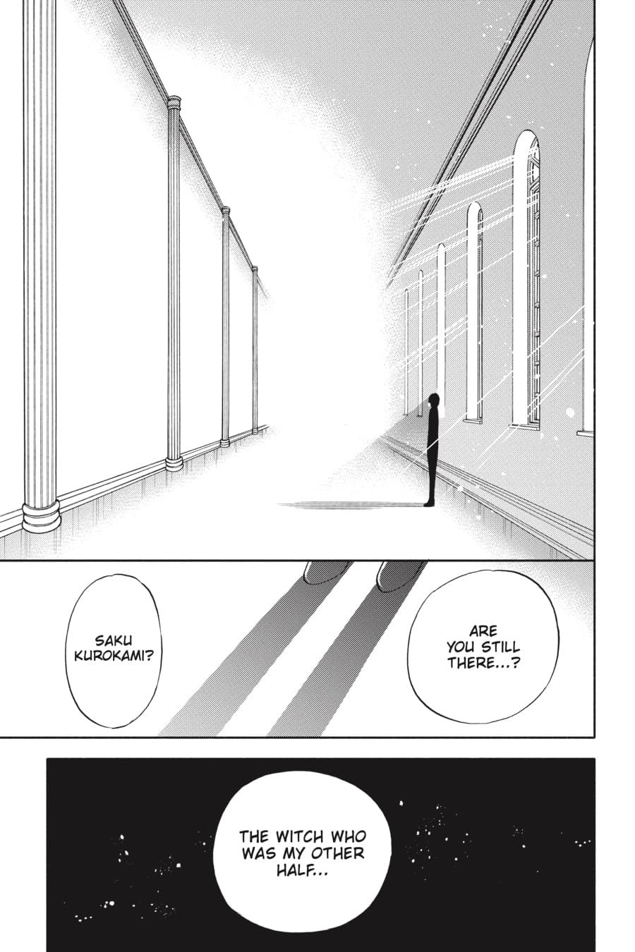 If Witch, Then Which? Vol. 3