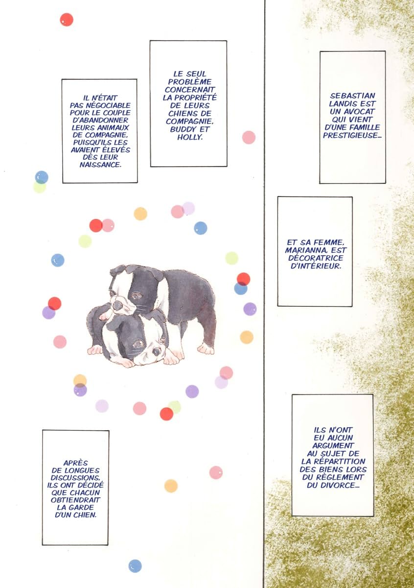 Son Ex-Femme Enceinte Vol. 2: Les Frères Landis