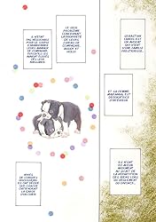 Son Ex-Femme Enceinte Vol. 2: Les Frères Landis