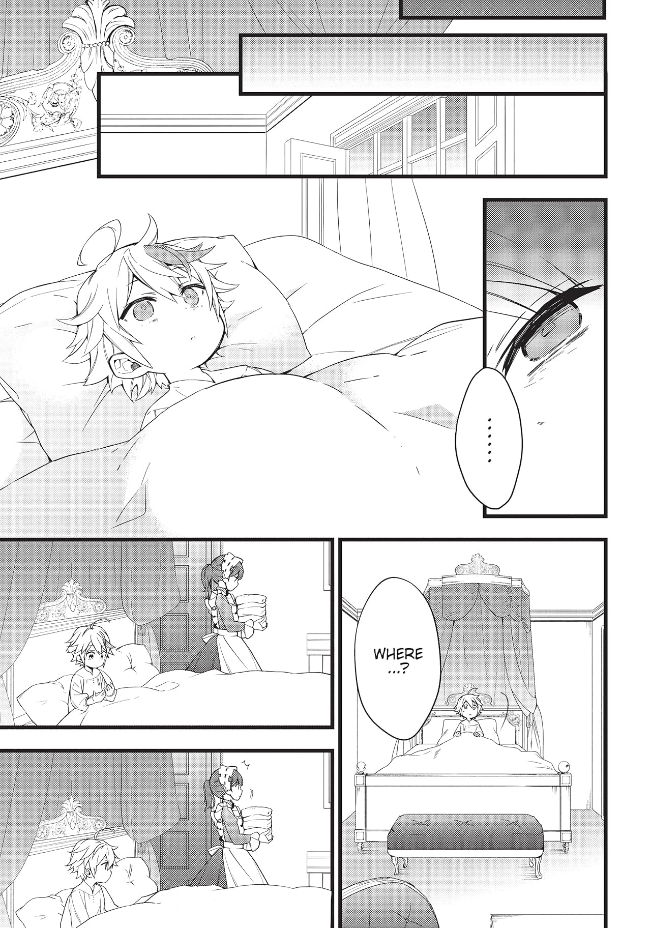 Chronicles of an Aristocrat Reborn in Another World Vol. 1