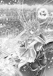 Saint Seiya: Saintia Sho Vol. 14