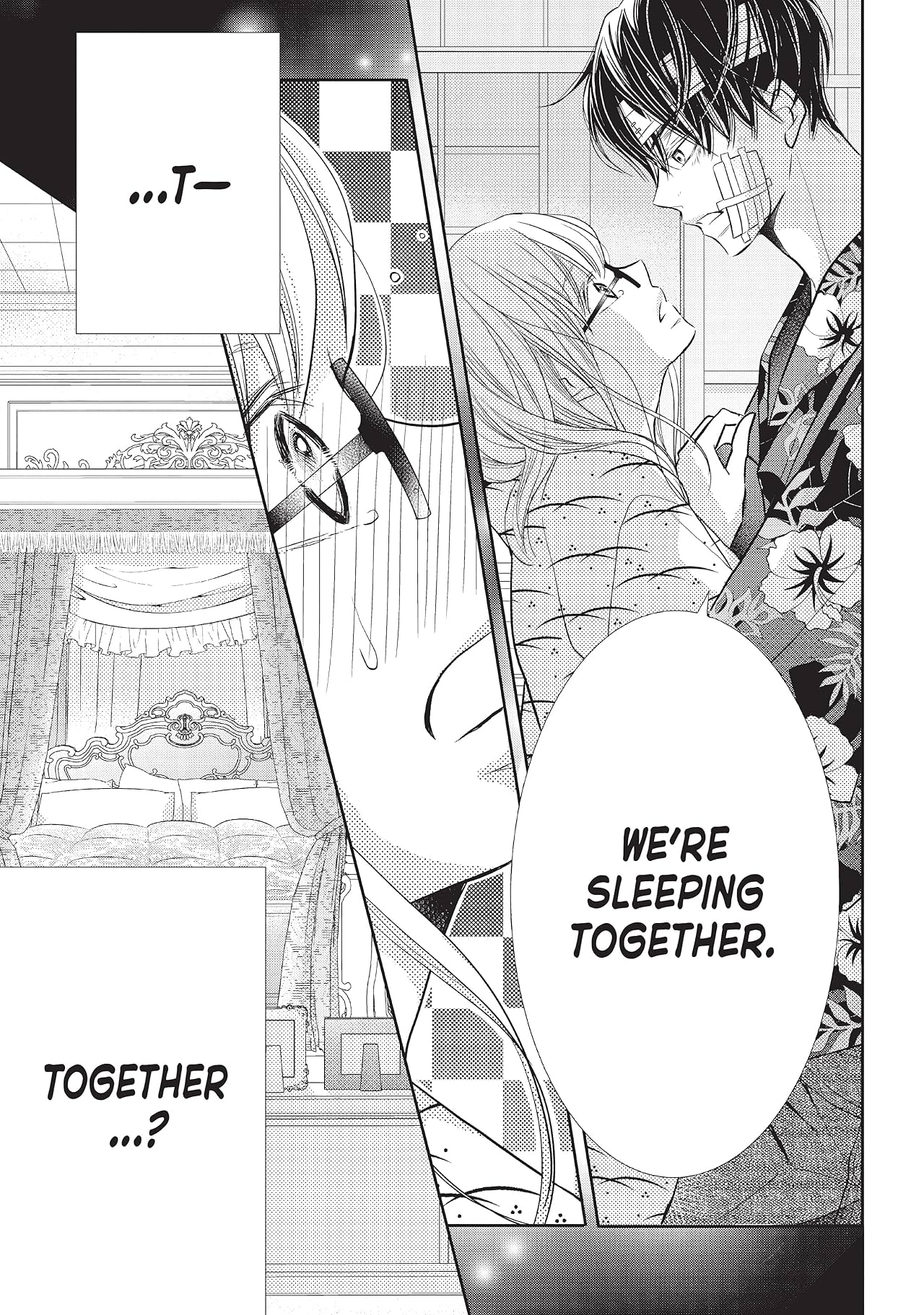 Defying Kurosaki-kun Vol. 16