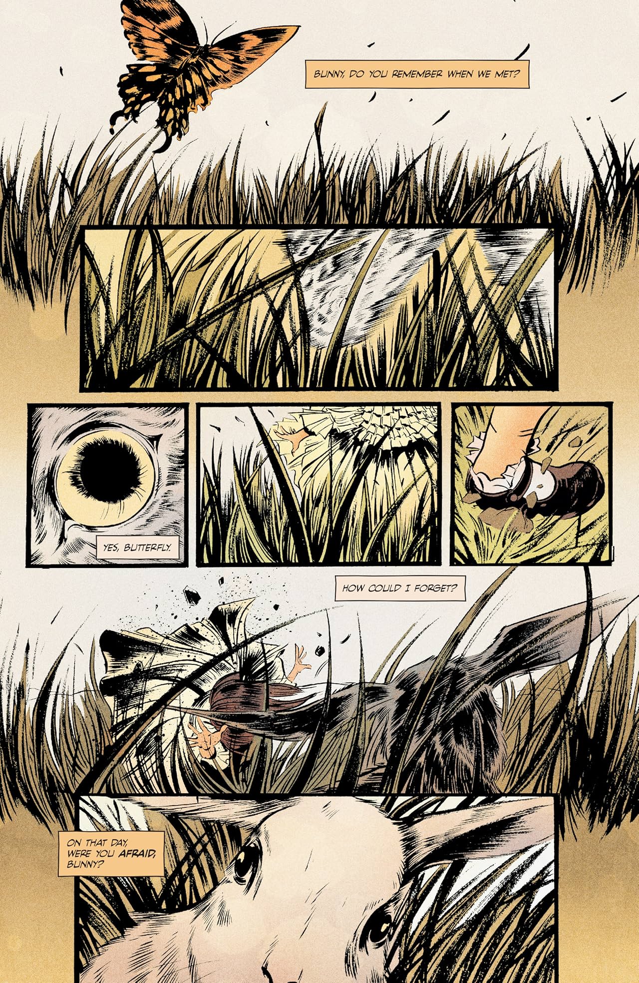 Pretty Deadly Vol. 1