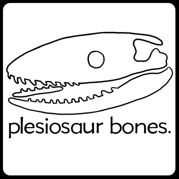 Plesiosaur Bones