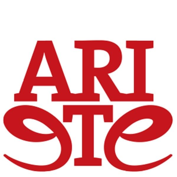 Ariete International