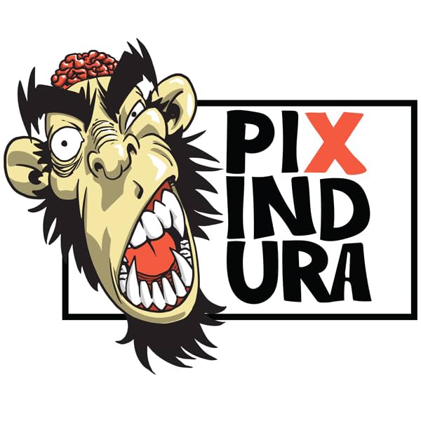Pixindura