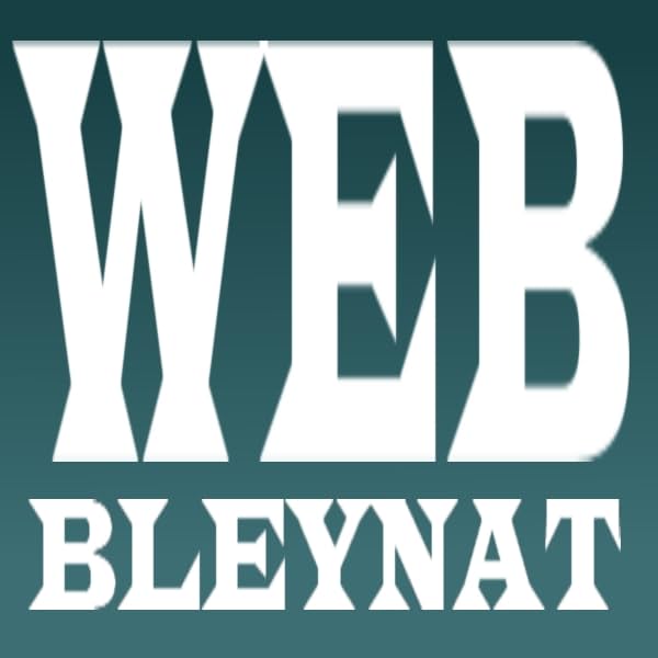 Web Bleynat