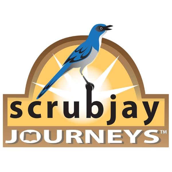 Scrubjay Journeys